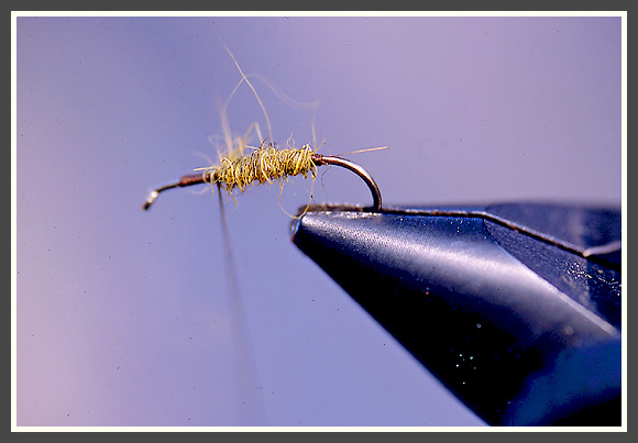 t.robin-peche-mouche29_28