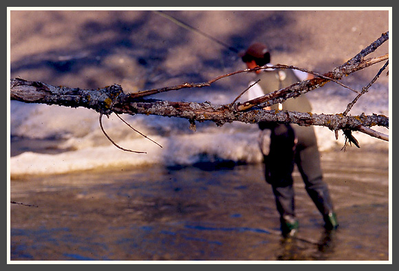 t.robin-peche-mouche46_45