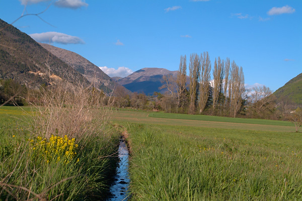 paysage2