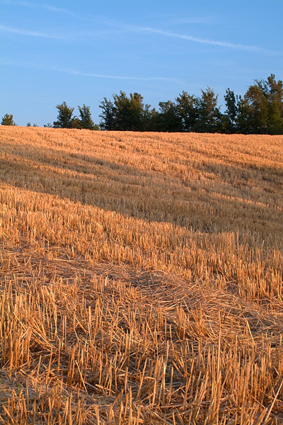 paysage4