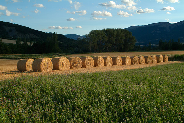 paysage5