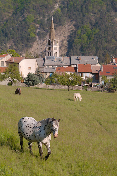 village7