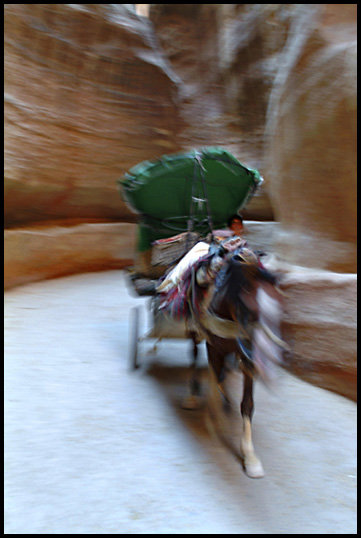 petra08
